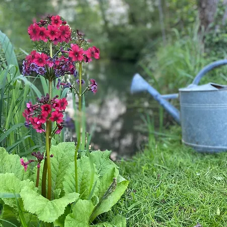Yourte Bulle Der Au Du Der Jusque 8 Personnes *
